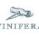 VINIFERA LOGO